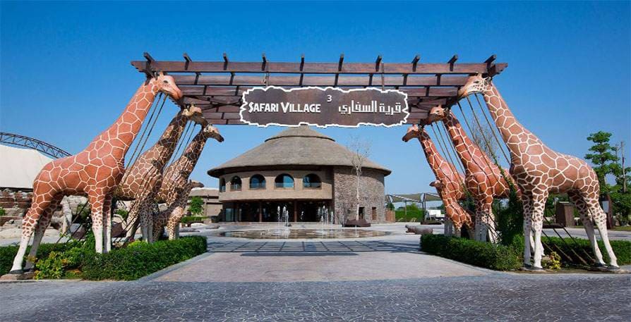 Roaring again at Dubai Safari Park